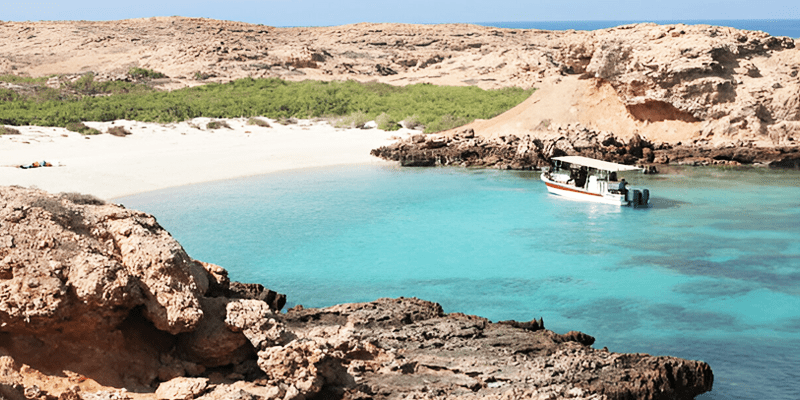 Dimaniyat Island & Snorkeling with transfers [6 Hrs]