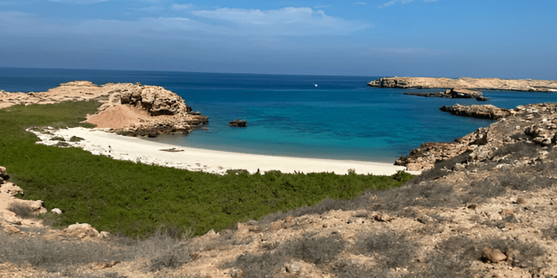 Dimaniyat Island Tour & Snorkeling [  3 Hrs ]