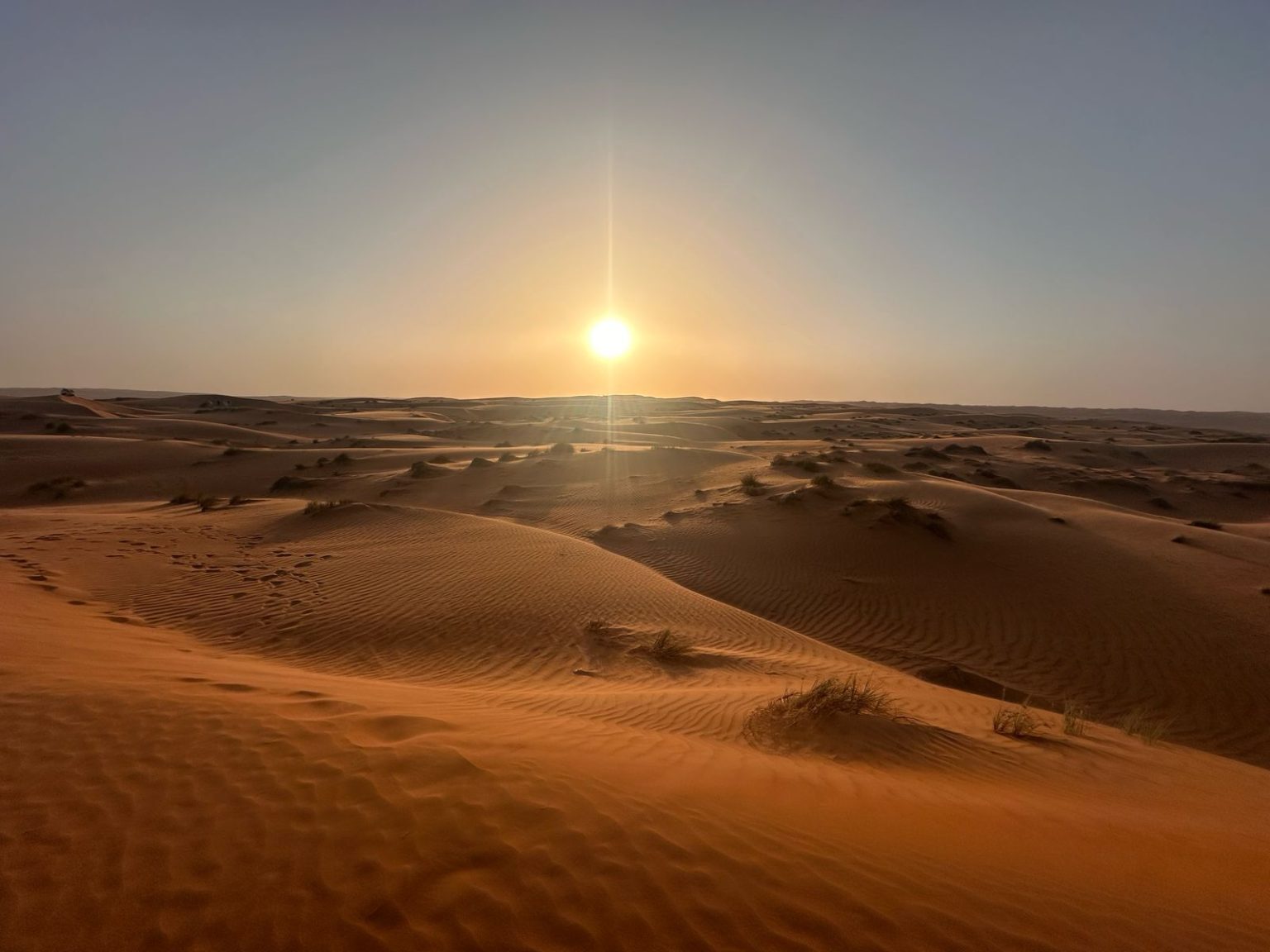 Sunset Desert Safari Day Trip 7 hrs