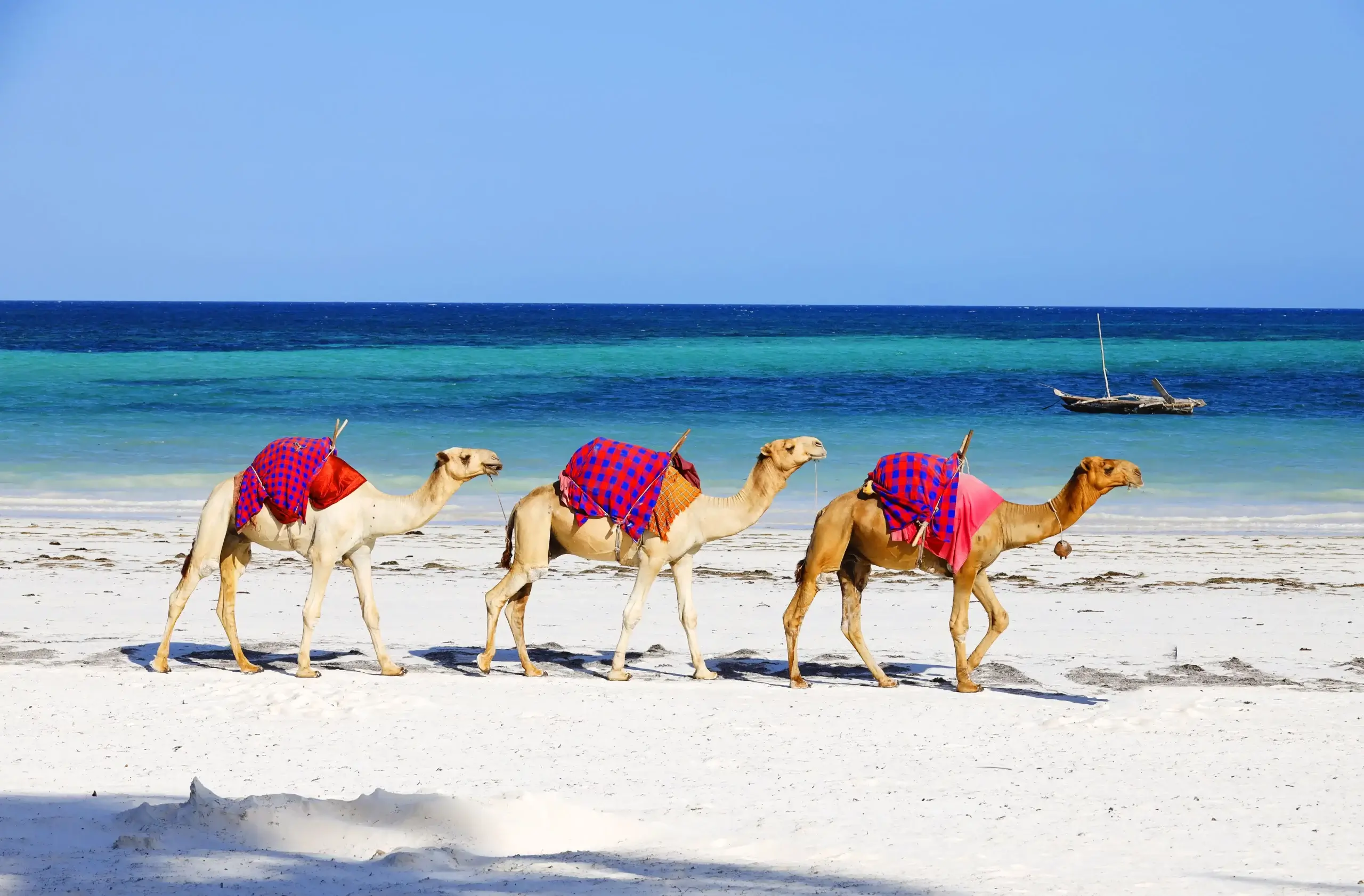 oman