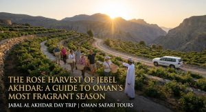 The Rose Harvest of Jebel Akhdar A Guide to Oman’s Most Fragrant Season (2)