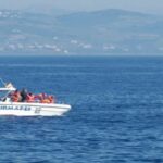 Dolphin watching