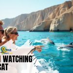Dolphin Watching in Muscat
